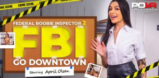 POVR - Federal Boobie Inspector 2: Go Downtown - VRPorn